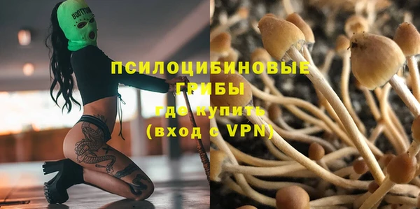 хмурый Майский