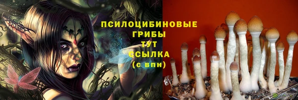 MDMA Premium VHQ Медногорск