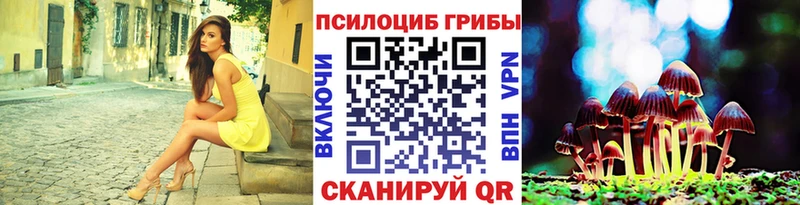Псилоцибиновые грибы GOLDEN TEACHER  Талица 